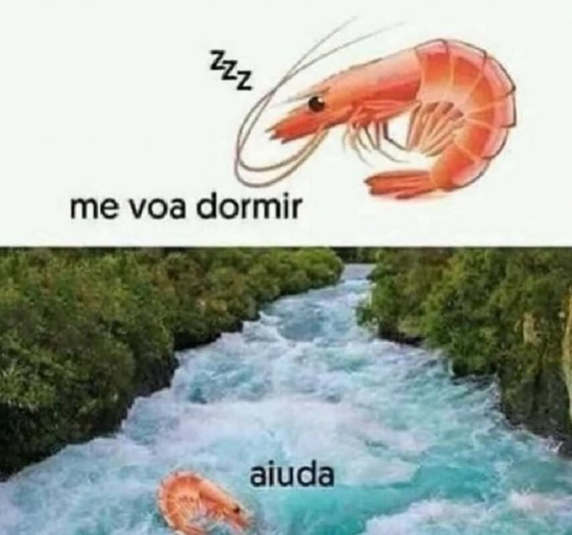 euskadifumar's tweet image. 