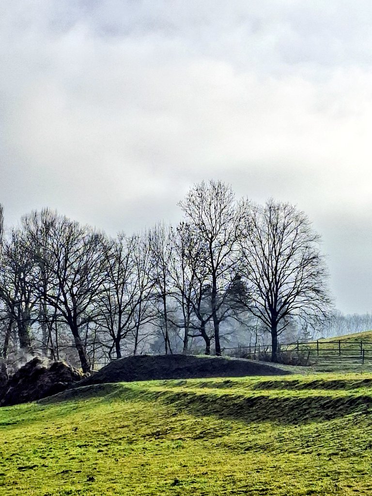 marie bois villard tweet media