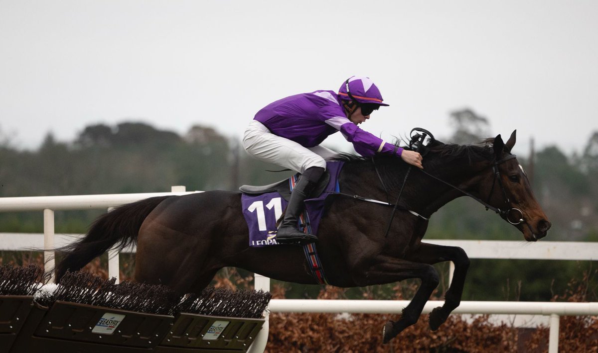 Leopardstown RC tweet media
