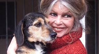 SocAntiFourrure's tweet photo. #brigittebardot Société Anti-Fourrure: Hommage à notre Brigitte C'est  avec tristesse que nous apprenons le départ vers les étoiles de Brigitte Bardot, l'ange des animaux. Il est des êtres dont on a comme  une impression qu'ils ne partiront jamais...  https://t.co/OBrY7GoCDp https://t.co/rVOln5qczA