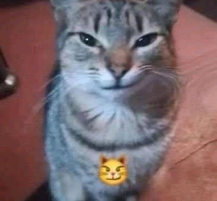 Project Re:Funk tweet media