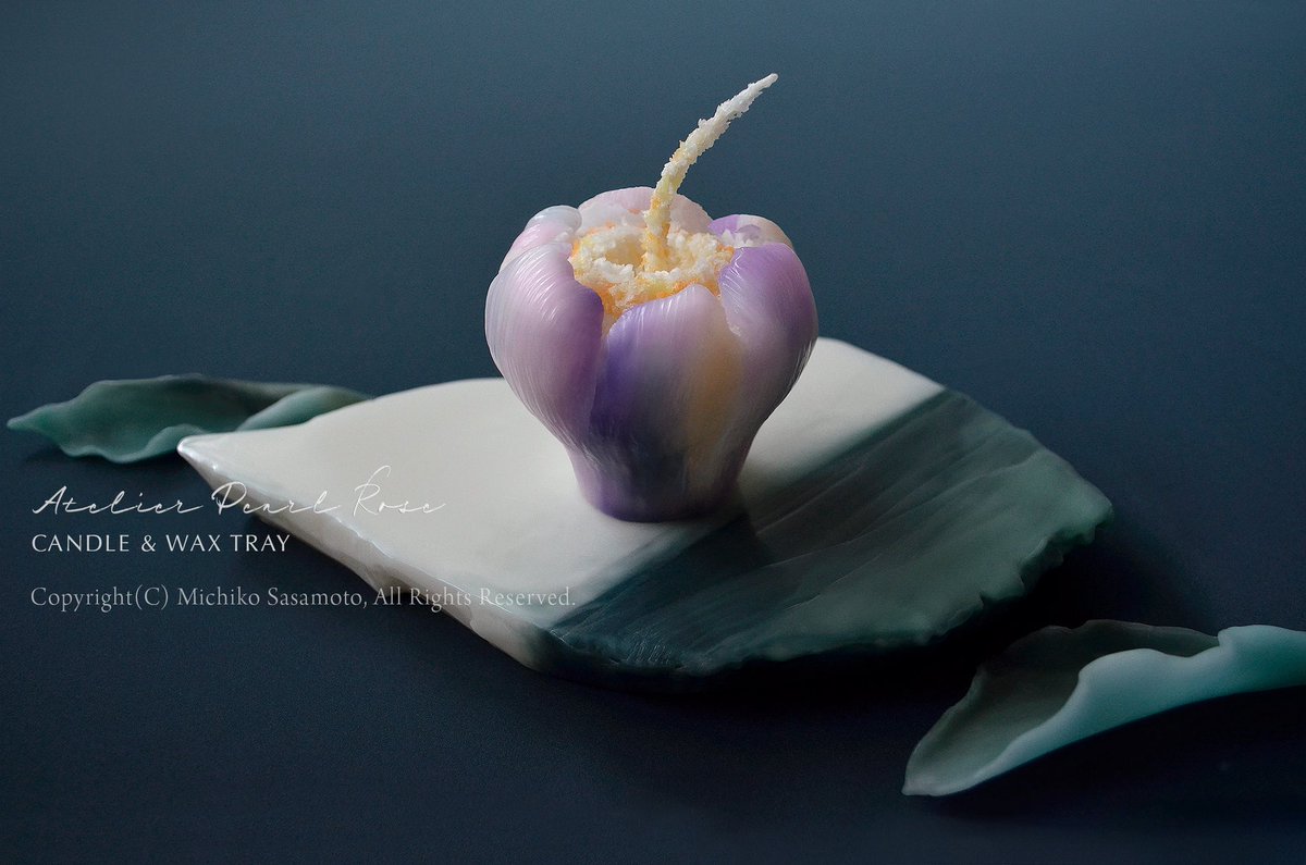 MICHIKOSASAMOTO's tweet image. Flower Bees Wax candle and Waxtray

#candlelesson
#beeswax
#candleart
#handmadecandle
#waxtray
#leaftray
#botanicalart
#craftart
#フラワーキャンドル
#キャンドル
#蜜蝋
#ビーズワックス
#ワックスアート
#キャンドルクラフト
#手作りキャンドル
#リーフトレー