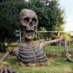 D62Maggie's tweet photo. @honeymoon250 Their coffins as they’re both dead https://t.co/OMr4GKoj5M
