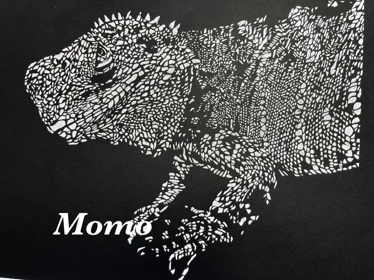 黒猫モモ@切り絵作家 (@momowanwan01151) / Posts / X