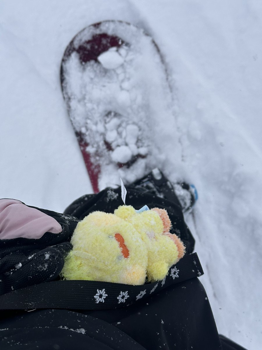 Tzzzang's tweet photo. 태니니 달고 스노우보드 탔어 🏂

#김태래 https://t.co/g2kcHkbc8I