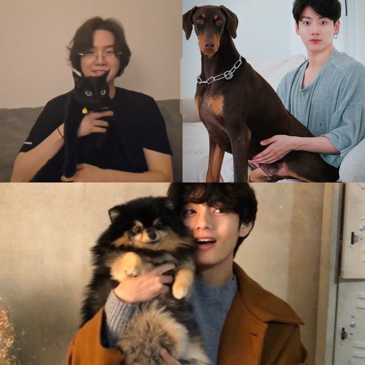 - แทฮยองตัดสินใจเลี้ยงยอนทัน เพราะน้องป่วย มีปัญหาสุขภาพทางด้านระบบหายใจและหัวใจ

- จองกุกตัดสินใจรับเลี้ยงบัมเพราะน้องตัวเล็กมาก กินนมแม่ไม่ทันพี่ๆน้องๆเลย

- ยุนกิรับเลี้ยงทังเพราะพ่อน้องทังเป็นแมวจร

เราเรียกไลน์นี้ว่าไรดีคะ แสนดีค่ตๆ 😭