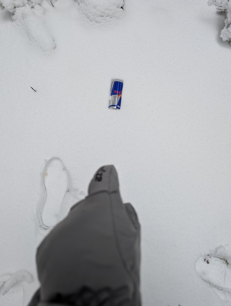 slothdive's tweet image. ando siguiendo la huella de un hombre manipulador para cazarlo como si del the witcher 3 se tratase