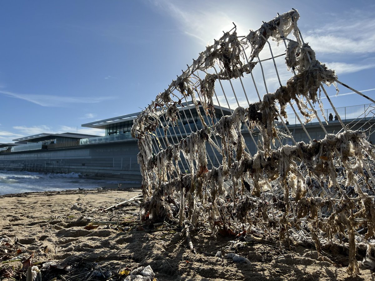 Raul Gallego Abellan tweet media