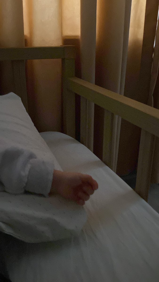 dilaniskomm's tweet photo. Minik pandamı 6337827373 kez uyutma çabaları 🥲🥹🐻 https://t.co/Y4kQWuq3ZP