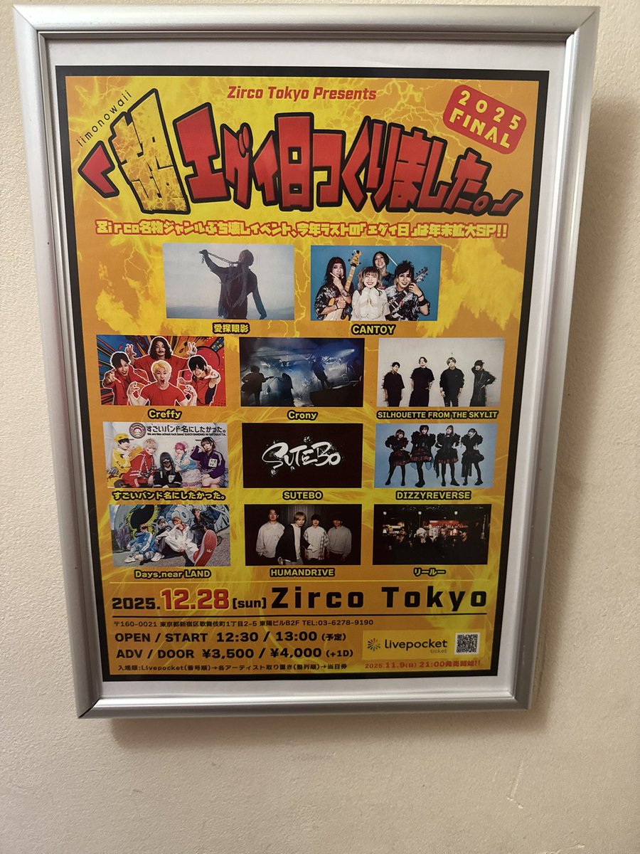 遊びに来てる！
