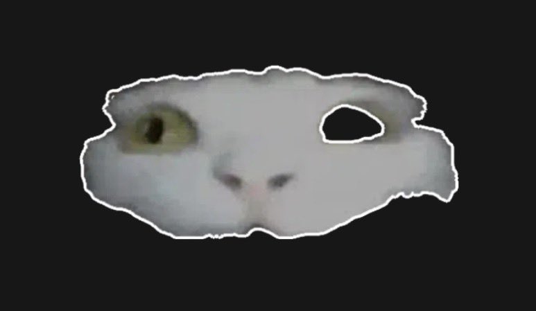 blue ⚢ tweet media