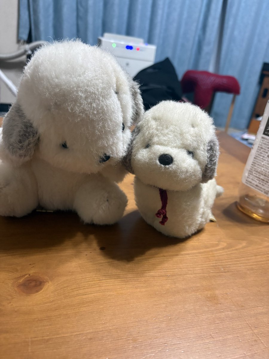 うめ吉ページ うめ吉