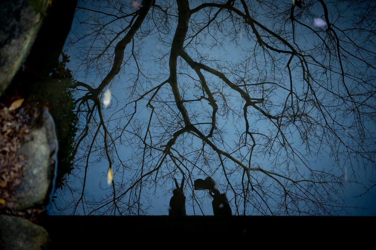 ✍️ #SIGMAfp
sizu.me/nishimura/post…