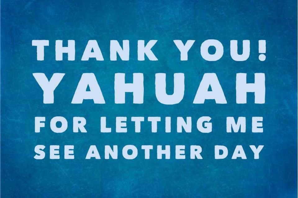 Tee Robins tweet media