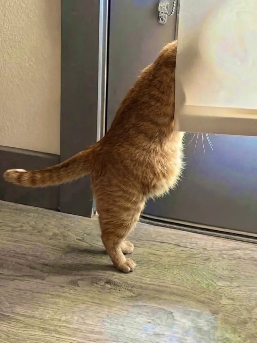 💙 MrSaud (@no_oln) on Twitter photo 