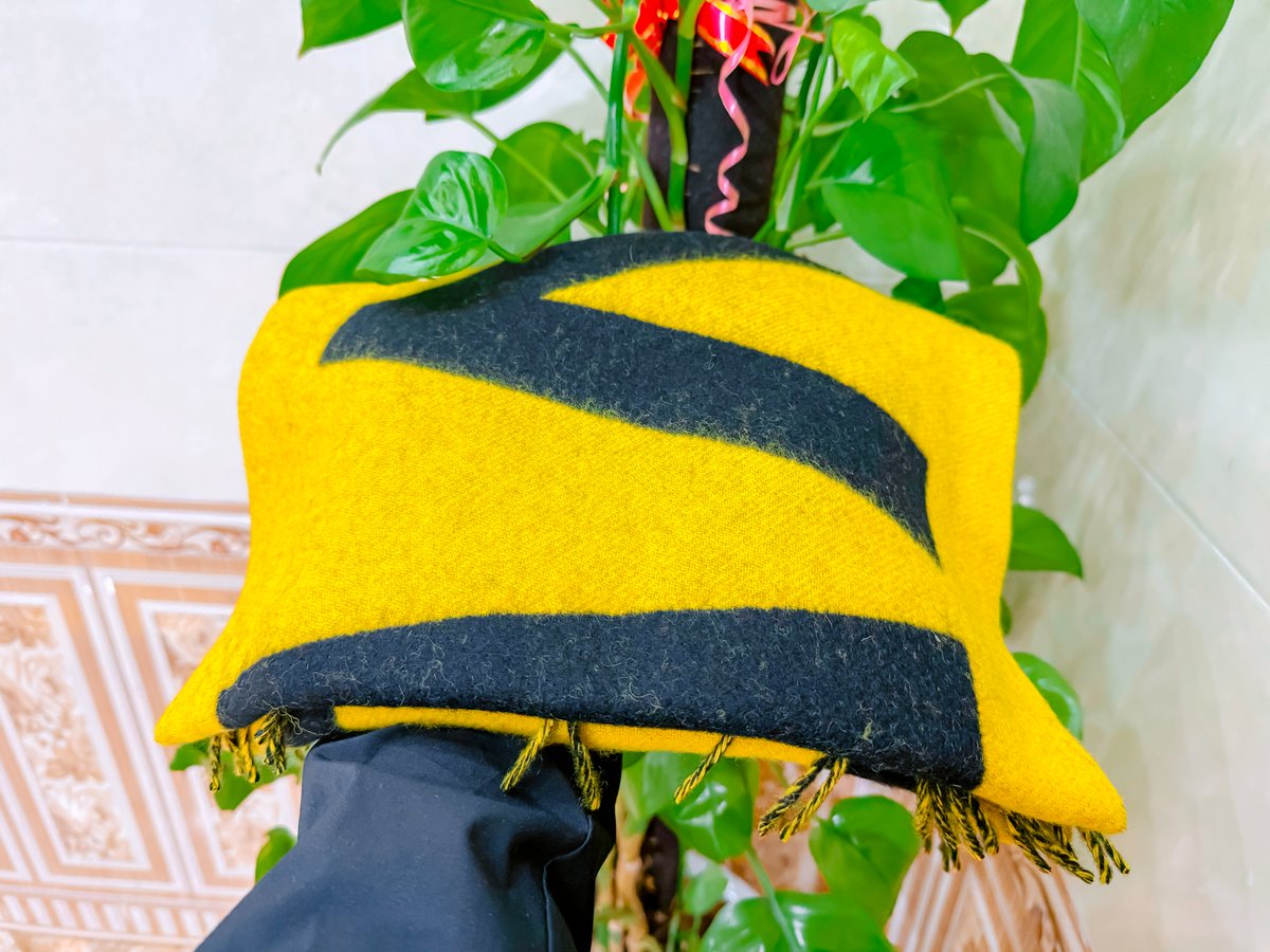 The Anh LDA tweet media