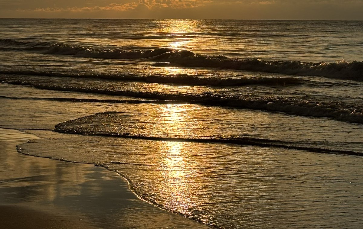 Taleofwave's tweet image. Beach dump 2025.