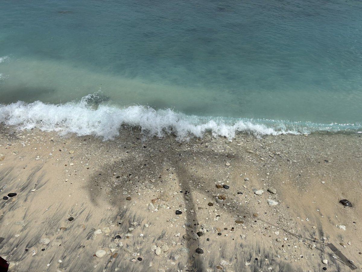 Taleofwave's tweet image. Beach dump 2025.