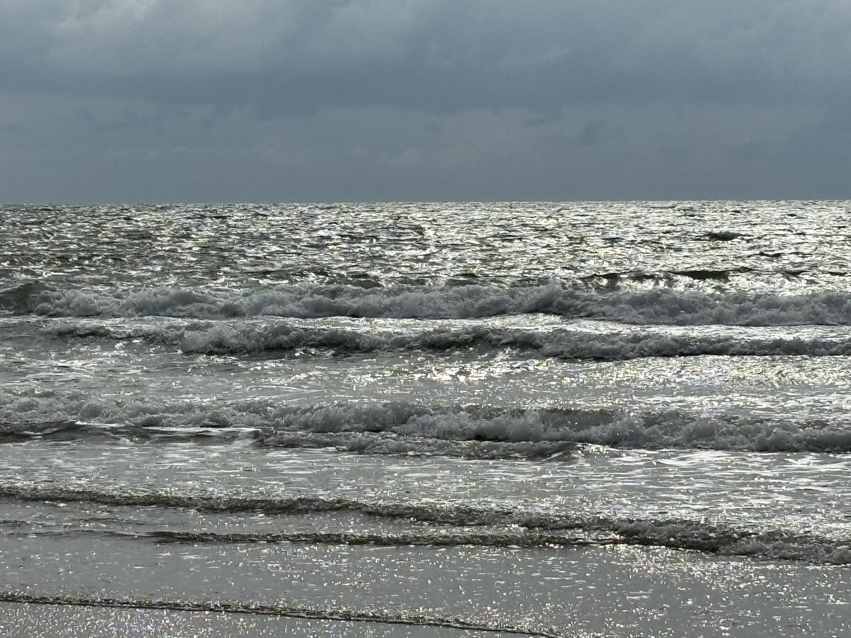 Taleofwave's tweet image. Beach dump 2025.