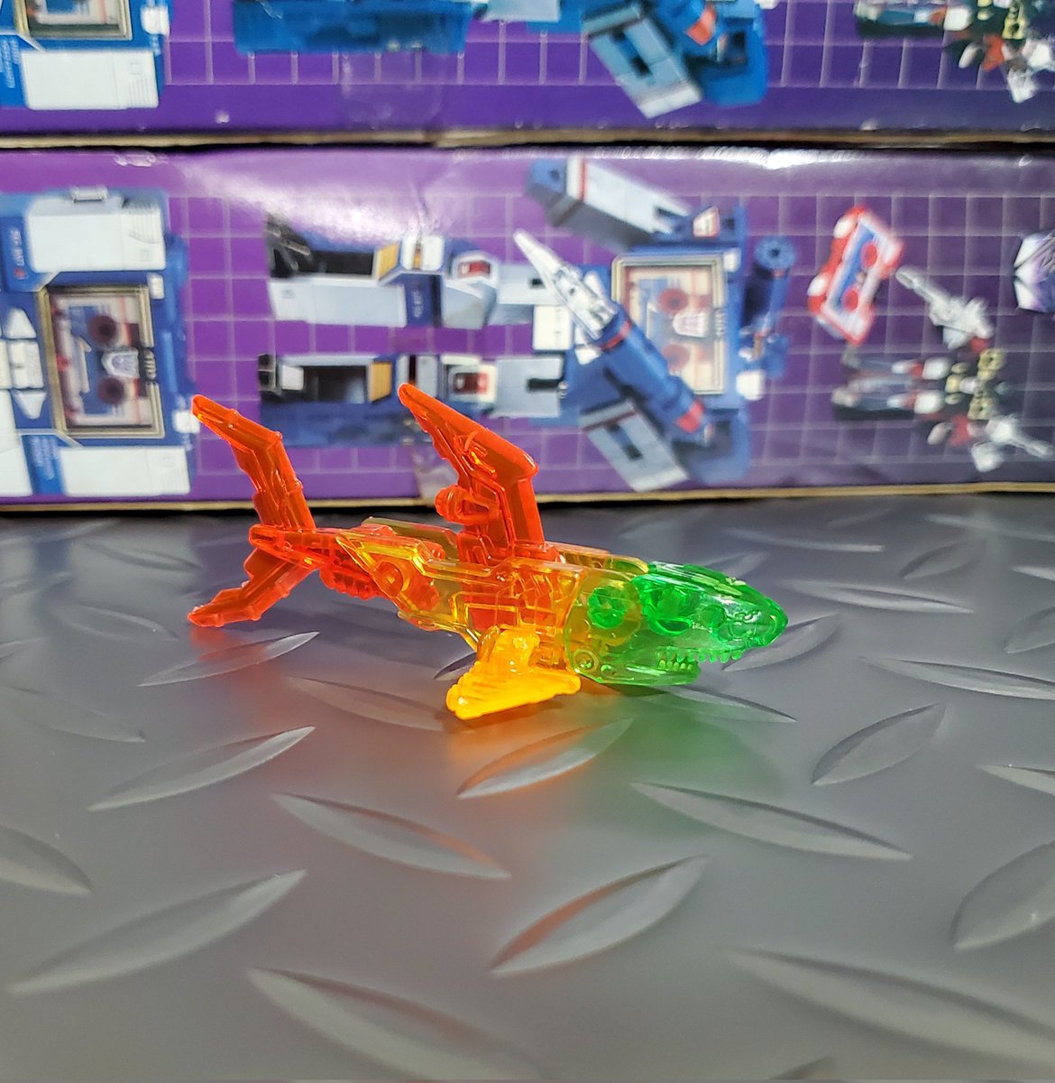 マキシマ tweet media