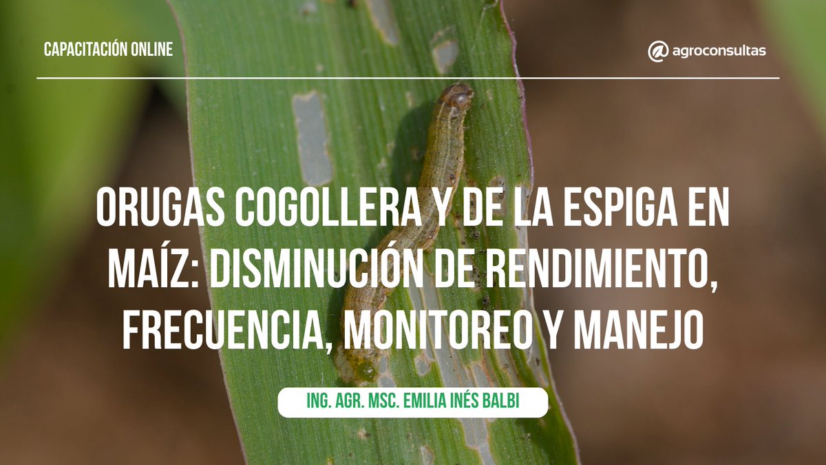 Información práctica y actualizada para tomar mejores decisiones🌾🚀

🙋‍♂️Ing. Agr. MSc. Emilia Inés Balbi
🐛Conocimientos y herramientas para identificar, monitorear y controlar las principales plagas del maíz, como la oruga cogollera y de la espiga

👉🏻agroconsultas.online/0yLCbt