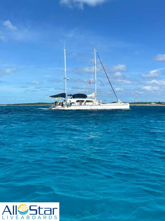 DiveASL's tweet image. Ever wanted to charter your own crewed sailboat for family or friends? The Cat Ppalu offers a unique opportunity for an affordable sailing, diving and snorkeling adventure! Explore the freedom of flexibility during your vacation!

~The Bahamas

 #allstarliveaboards