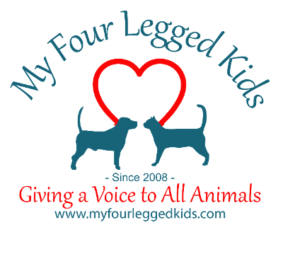 Our Ist Animal Tails Newsletter for 2026( # 171) Hits our website January 1st but all letters from 2025 are still here for you free..now!
myfourleggedkids.com/animal-tails
