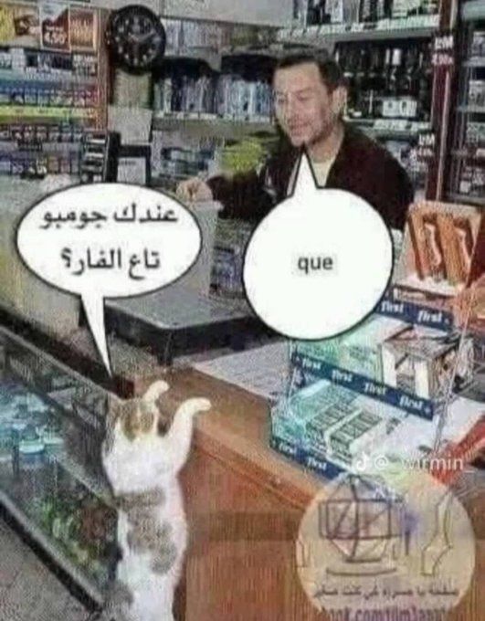 chincheto pirata somali (@wikipistacho) on Twitter photo 