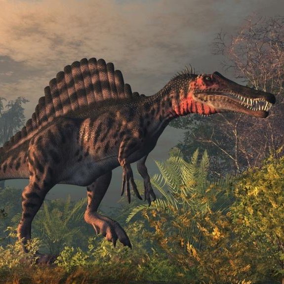 Despite everything, it's still you