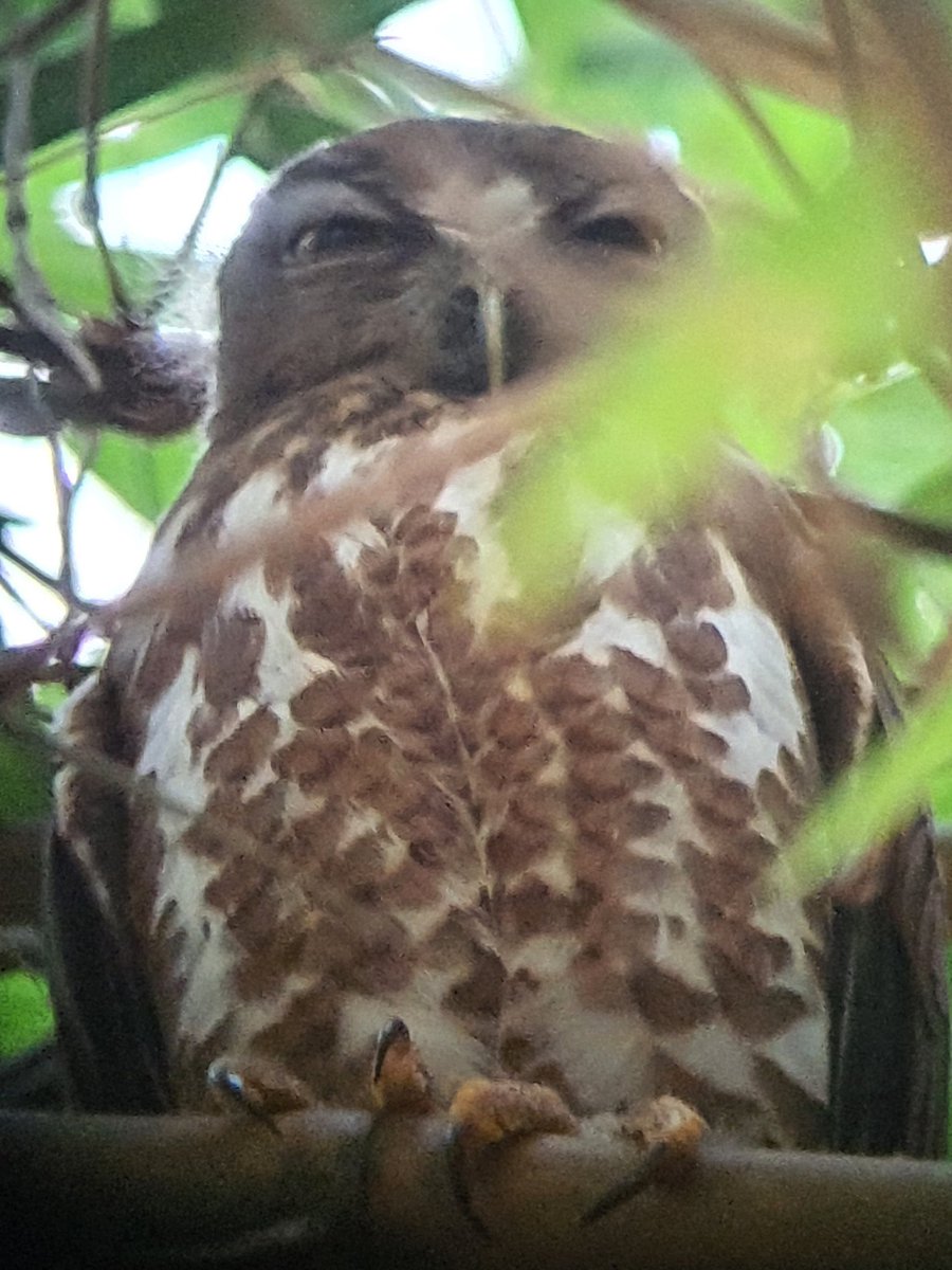 กูลฝ่าด่านเคราะห์?
พิงคุณ 2 ชาติ be like :