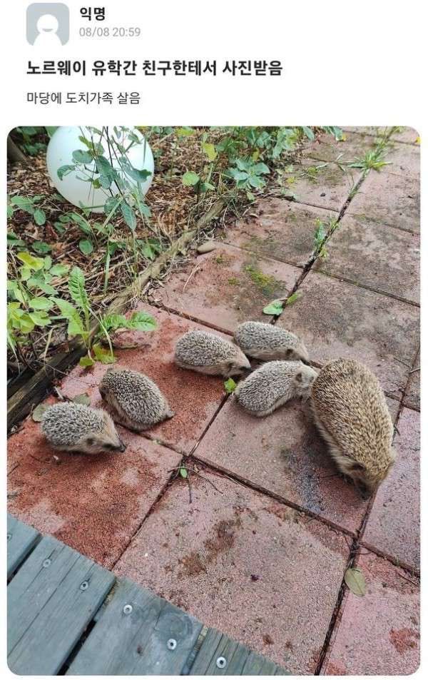 챱 (@lovx11_very) on Twitter photo 