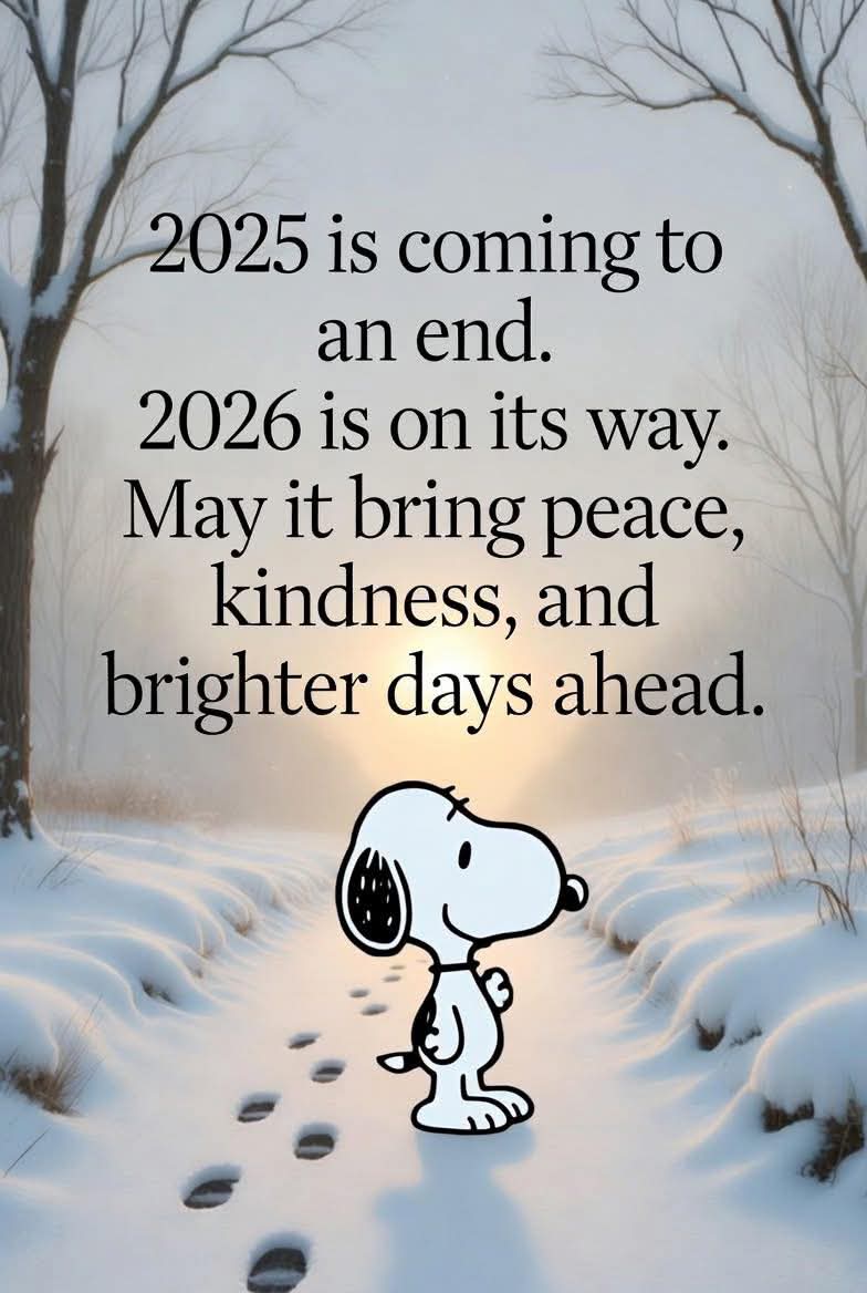 maura_resister's tweet image. Good morning magical resisters 
Have a great Sunday