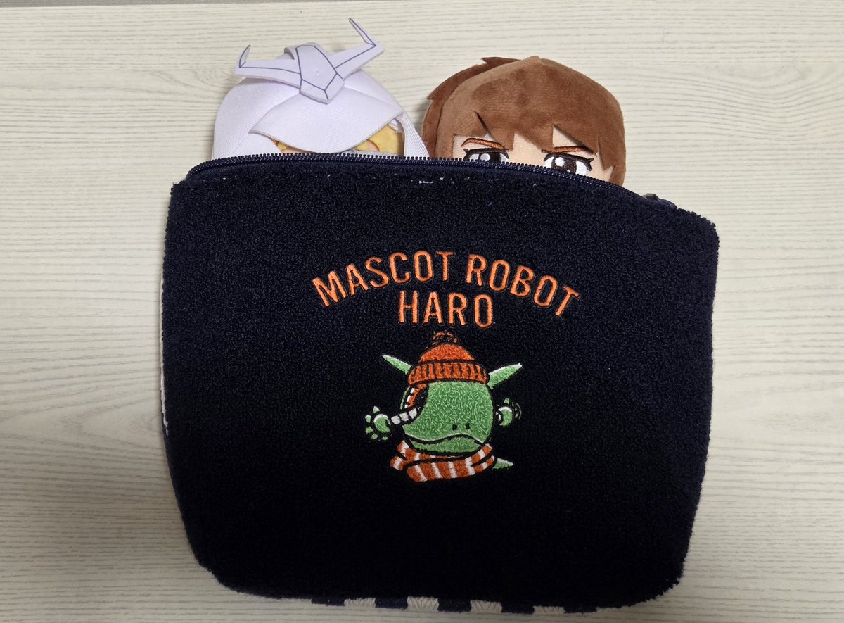 ハロたゃのポーチが思ってたよりおっきくて、アムぬいとシャぬいの収納