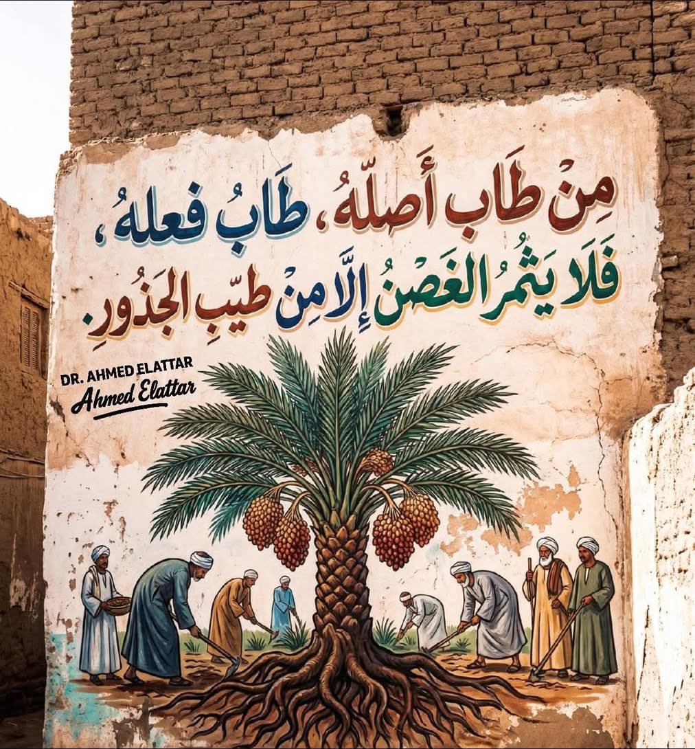 mkbo4351's tweet image. الأصل ثم الأصل