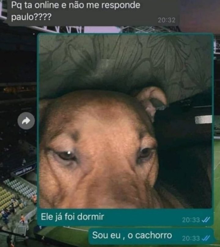 foide0a100's tweet image. 