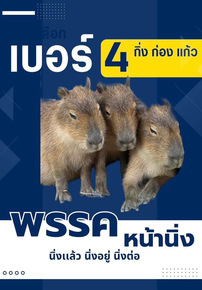 and_khamoo's tweet photo. มาเเล้ว นโยบายของผู้สมัครเลือกตั้ง
No.1 เขาเขียว #hippo #PygmyHippo #ขาหมูแอนด์เดอะแก๊ง #หมูเด้งเด้งกี่โมง #Moodeng #พี่ขาหมู #สวนสัตว์เปิดเขาเขียว https://t.co/WDwpdV5k24