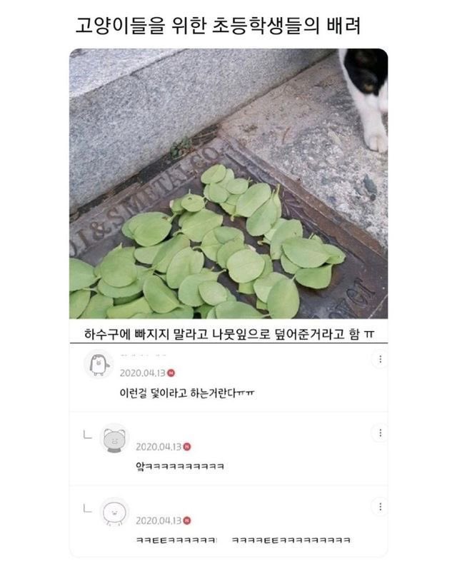우리는 이걸 덫이라고 부르기로 했어요