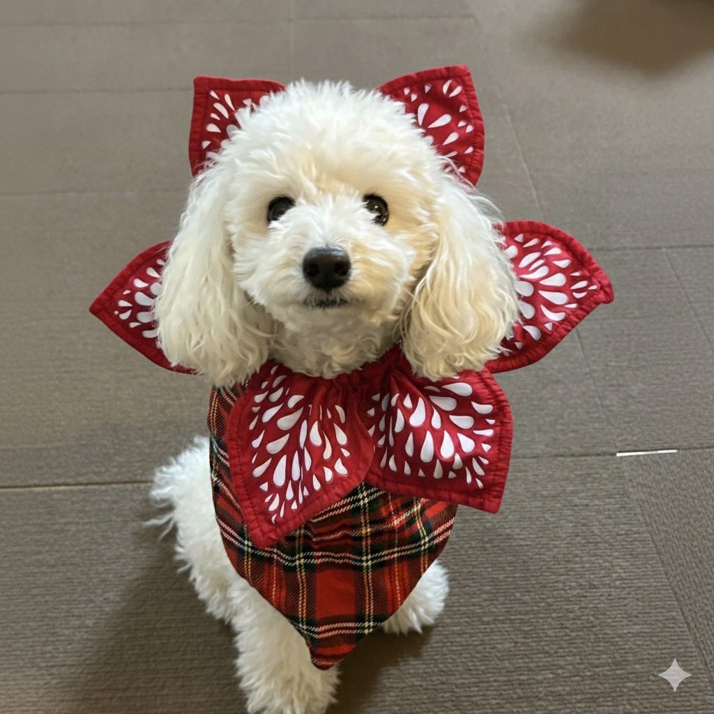 うちのワンちゃん (@utinotaro) / Posts / X