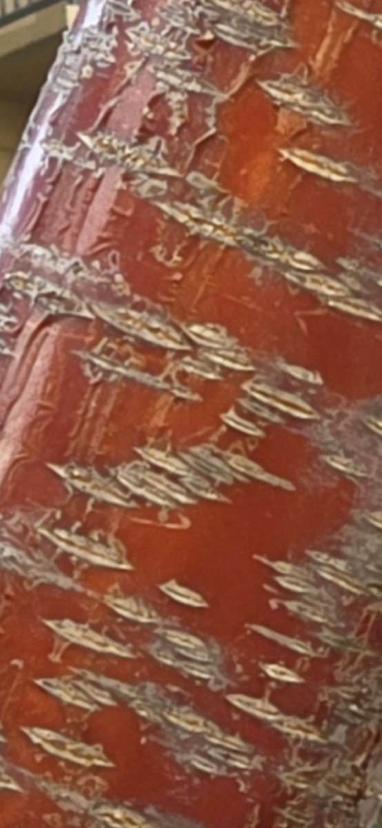 Ice Universe tweet media