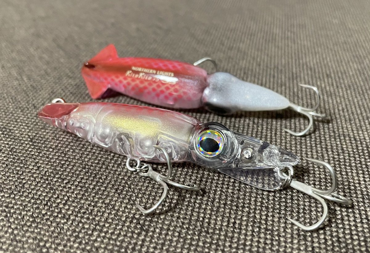 NORTHERN LIGHTS (@northern_528) / Posts / X