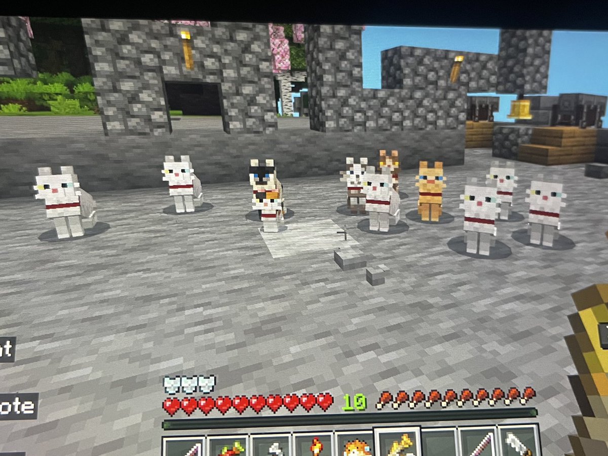 zephinhell's tweet image. so it escalated..