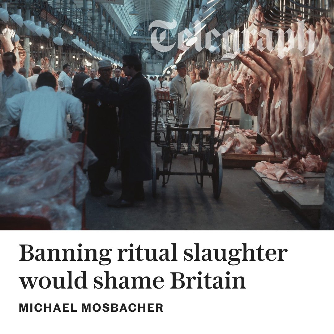 The Telegraph tweet media