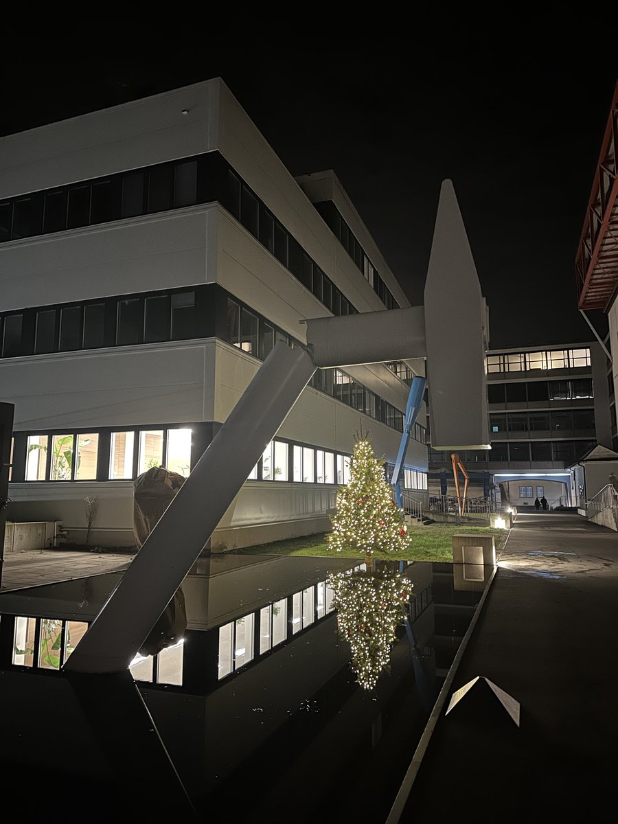 Daniel Bachmann tweet media