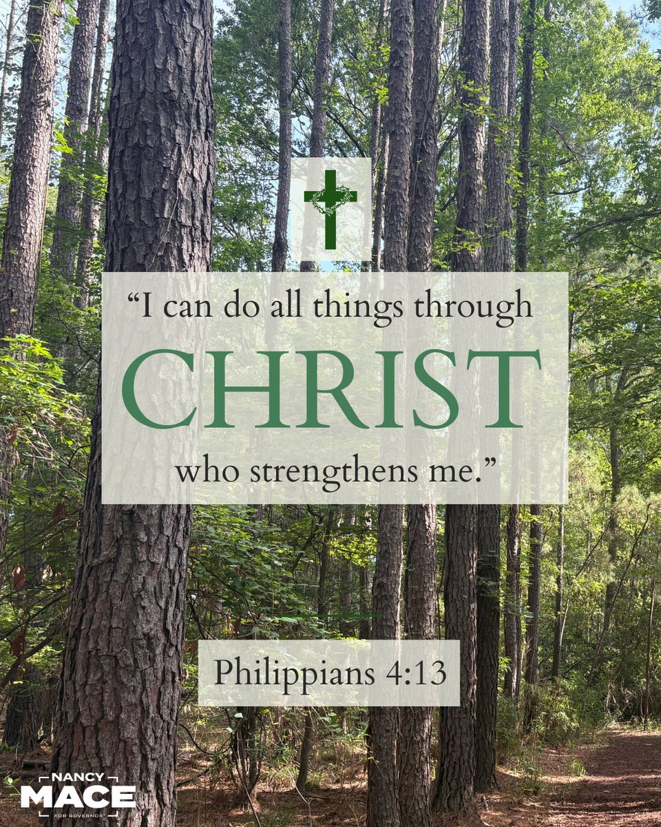 NancyMace's tweet image. 