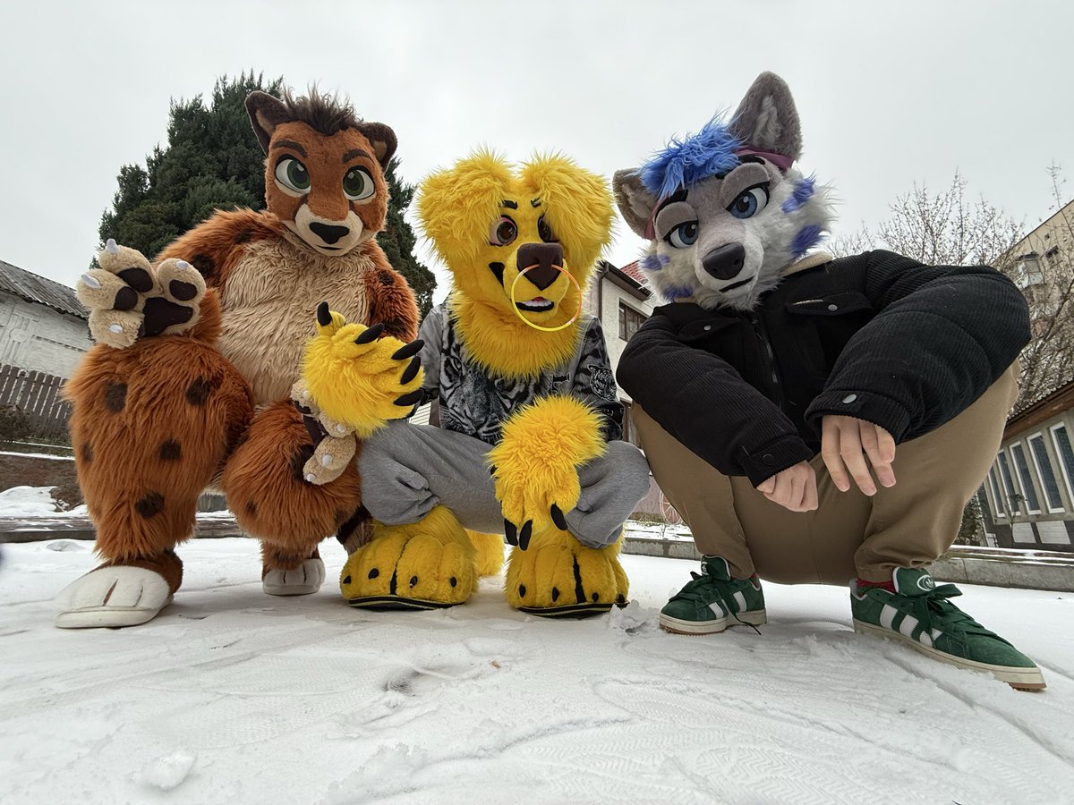 Woolfper 🇺🇦 tweet media