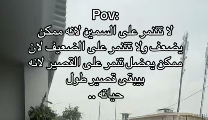 آمنة 🌼 tweet media