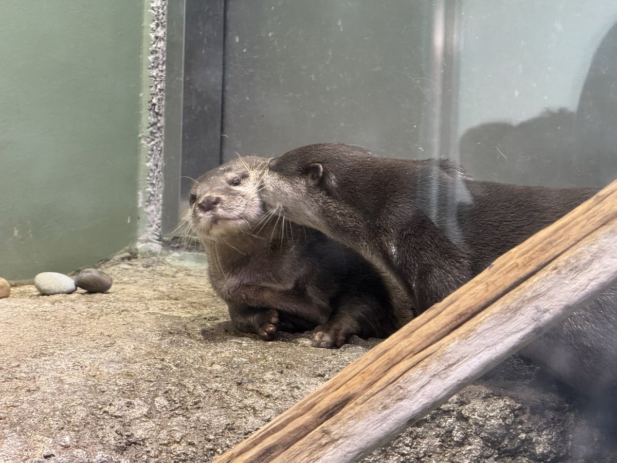 とても楽しい一日になりました…!!