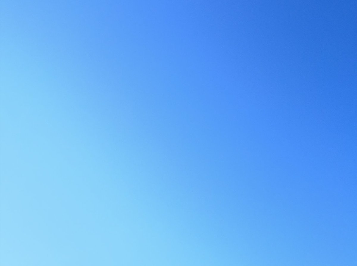 (mir kommt vor das licht wird schon wieder ein bisschen heller)