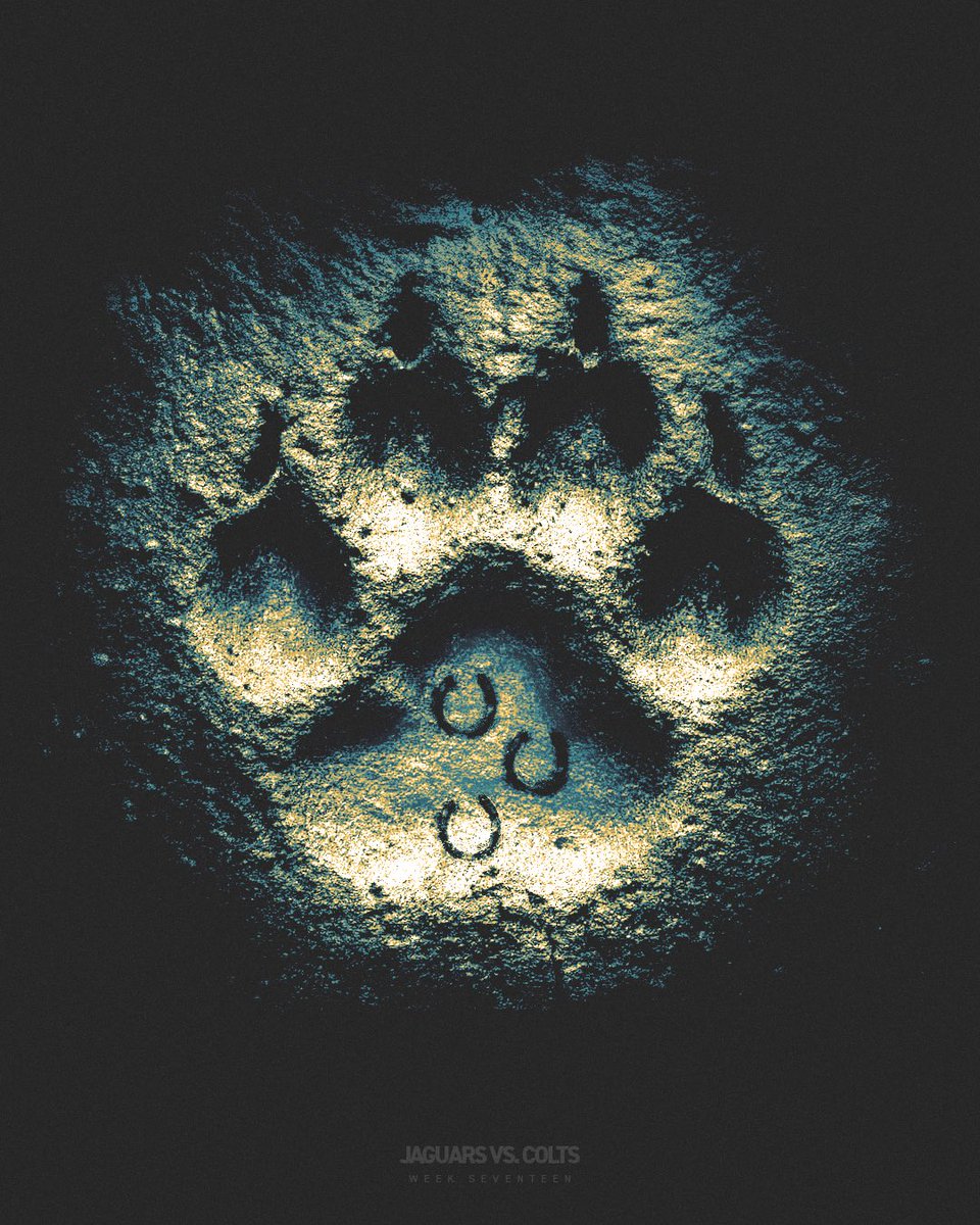 Leave a mark 🐾 #JAXvsIND