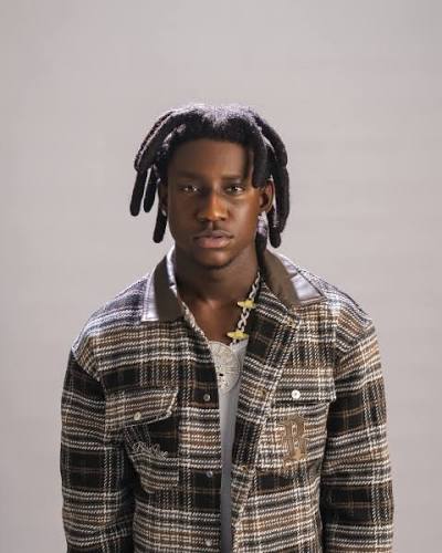 wizo_sylvester tweet media